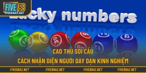 Cao Thủ Soi Cầu - Cách Nhận Diện Người Dày Dạn Kinh Nghiệm