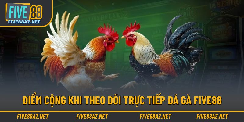 Ưu điểm nổi bật lớn trong trải nghiệm theo dõi trực tiếp chiến kê