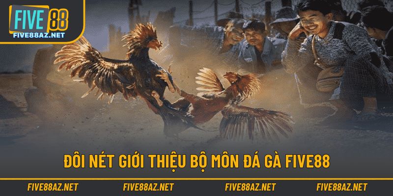 Cơ bản thông tin về bộ môn thi đấu đá gà nhà cái