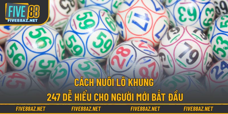 cách nuôi lô khung 247 dễ hiểu cho người mới bắt đầu