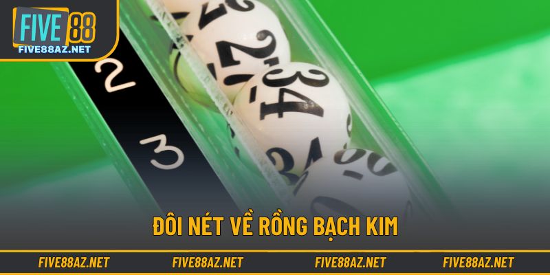 Đôi nét về Rồng Bạch Kim