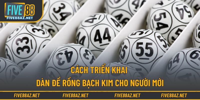 Cách triển khai dàn đề Rồng Bạch Kim cho người mới